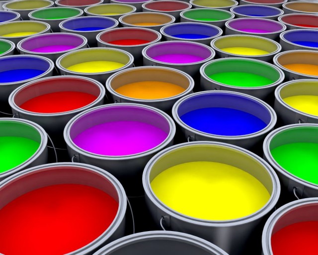 Paint Warranty